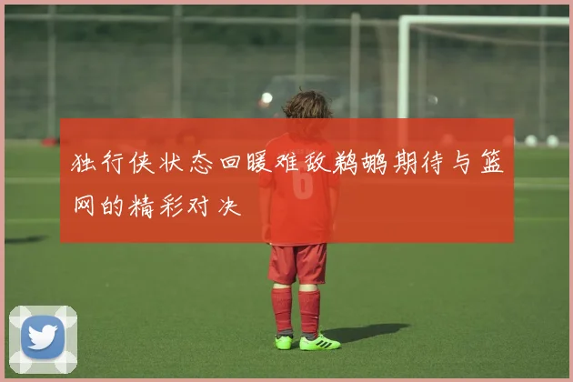 独行侠状态回暖难敌鹈鹕期待与篮网的精彩对决