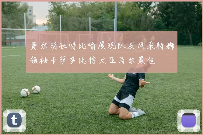 费尔明独特比喻展现队友风采特狮领袖卡萨多比特犬亚马尔最佳
