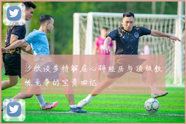 沙欣谈多特解雇心碎经历与顶级教练竞争的宝贵回忆
