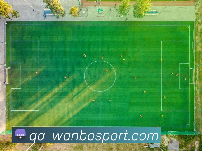 万博足球官网平台生态图