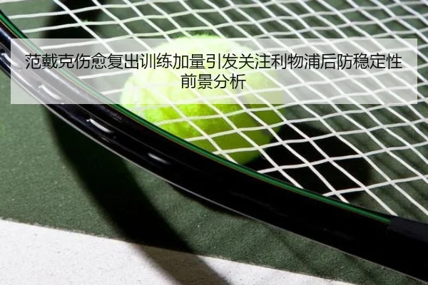 范戴克伤愈复出训练加量引发关注利物浦后防稳定性前景分析 | ManBetX